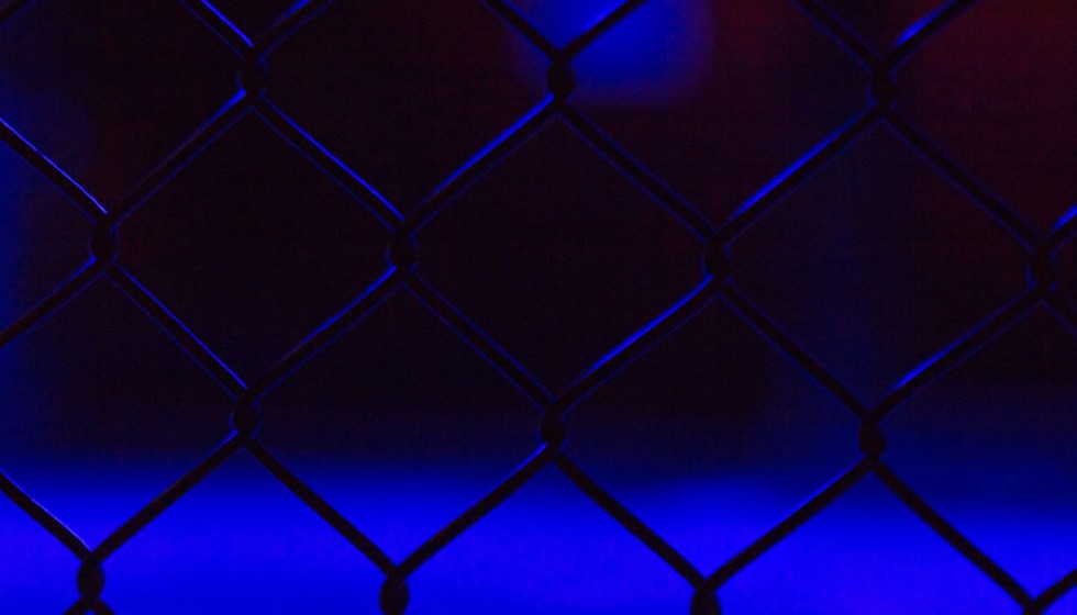 Nikita Hand Wins Civil Case Against Conor McGregor in Dublin High Court